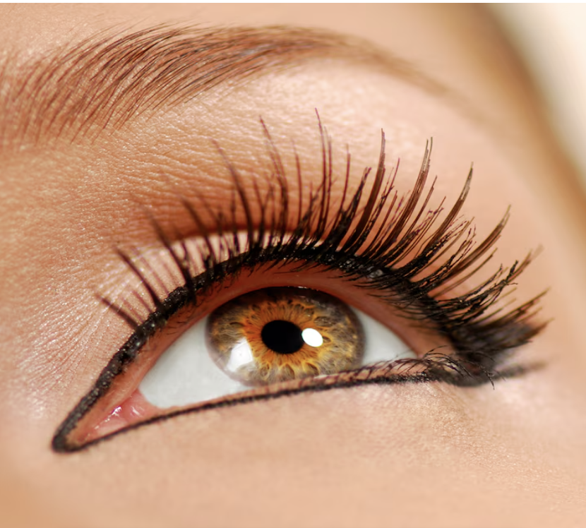 Lash Philosophy