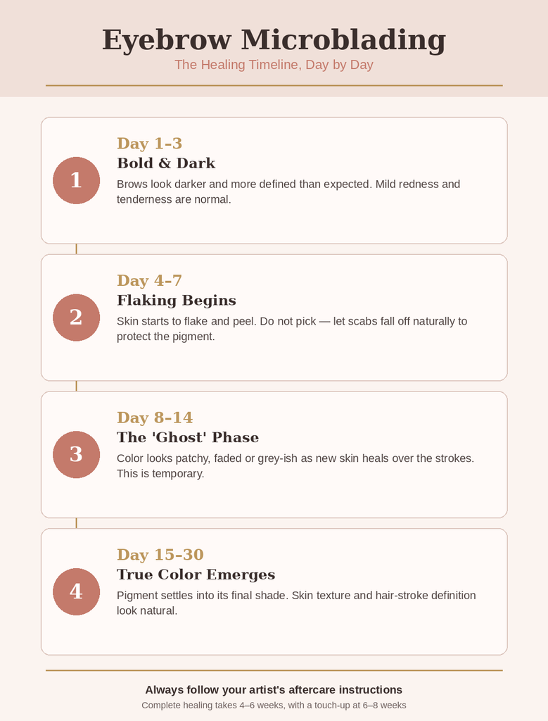Eyebrow microblading healing process timeline infographic — day 1 to day 30 stages, aftercare tips, and touch-up guide